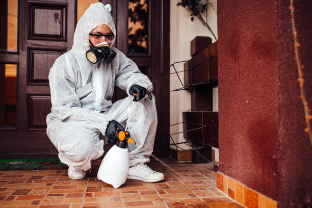 Reliable Bed Bug Control contractor in Fountain Inn, SC by Nex Pest Control