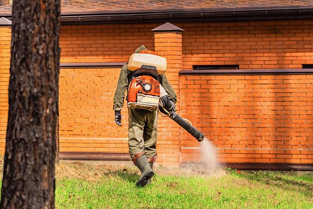 Trusted Cockroach Control service in Fountain Inn, SC - Nex Pest Control